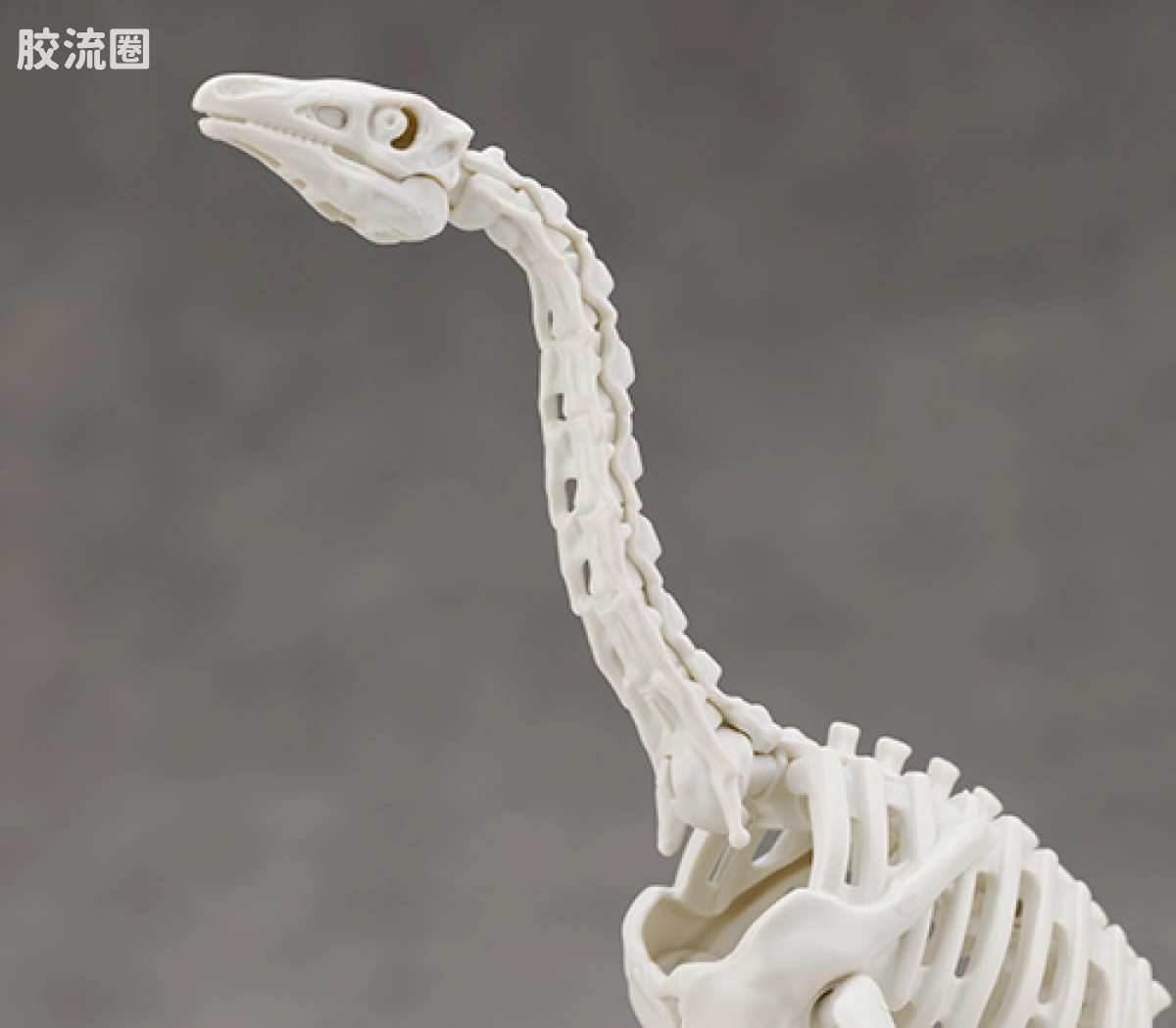 万代综合拼装模型系列 Plannosaurus 镰刀龙 - 图片