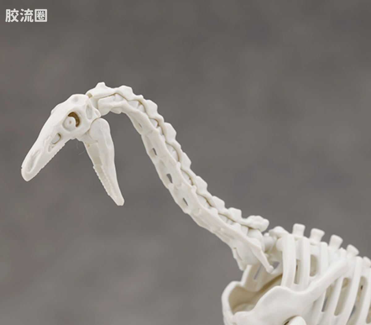万代综合拼装模型系列 Plannosaurus 镰刀龙 - 图片