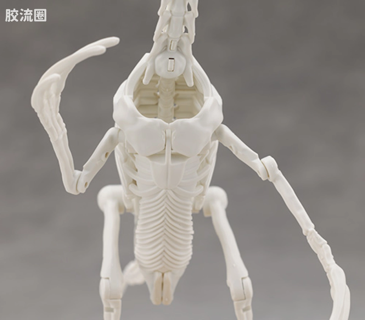 万代综合拼装模型系列 Plannosaurus 镰刀龙 - 图片