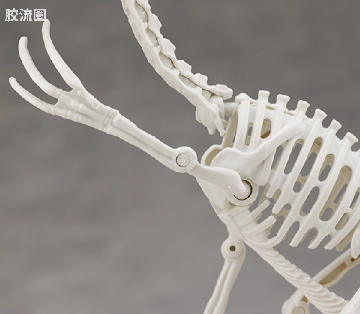 万代综合拼装模型系列 Plannosaurus 镰刀龙 - 图片