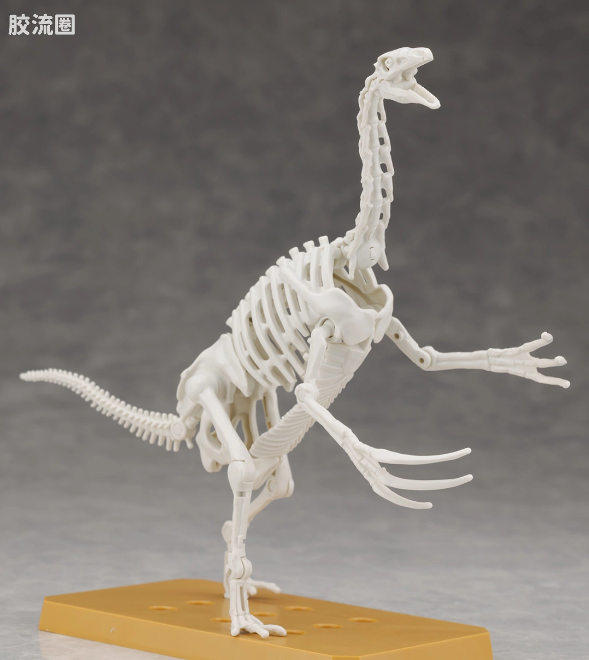 万代综合拼装模型系列 Plannosaurus 镰刀龙 - 图片