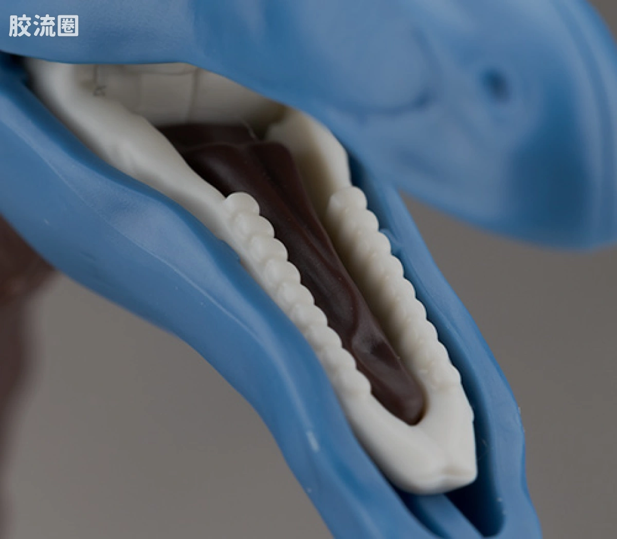 万代综合拼装模型系列 Plannosaurus 镰刀龙 - 图片