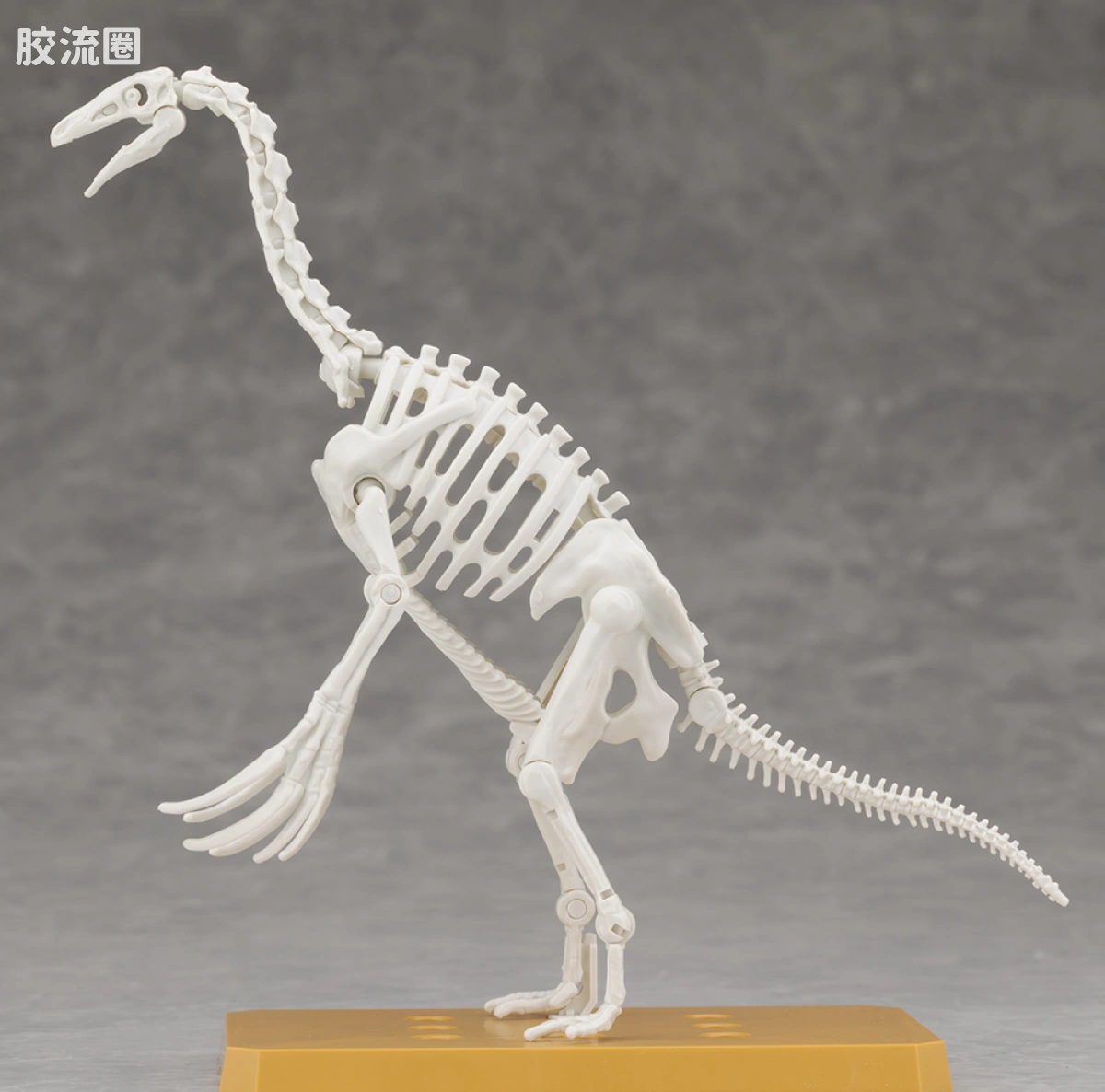 万代综合拼装模型系列 Plannosaurus 镰刀龙 - 图片