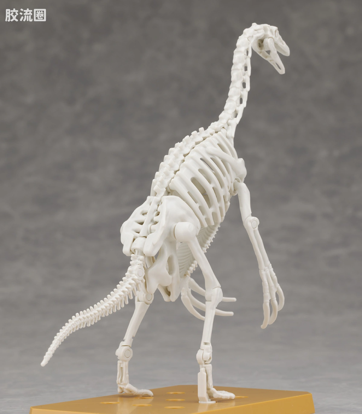万代综合拼装模型系列 Plannosaurus 镰刀龙 - 图片