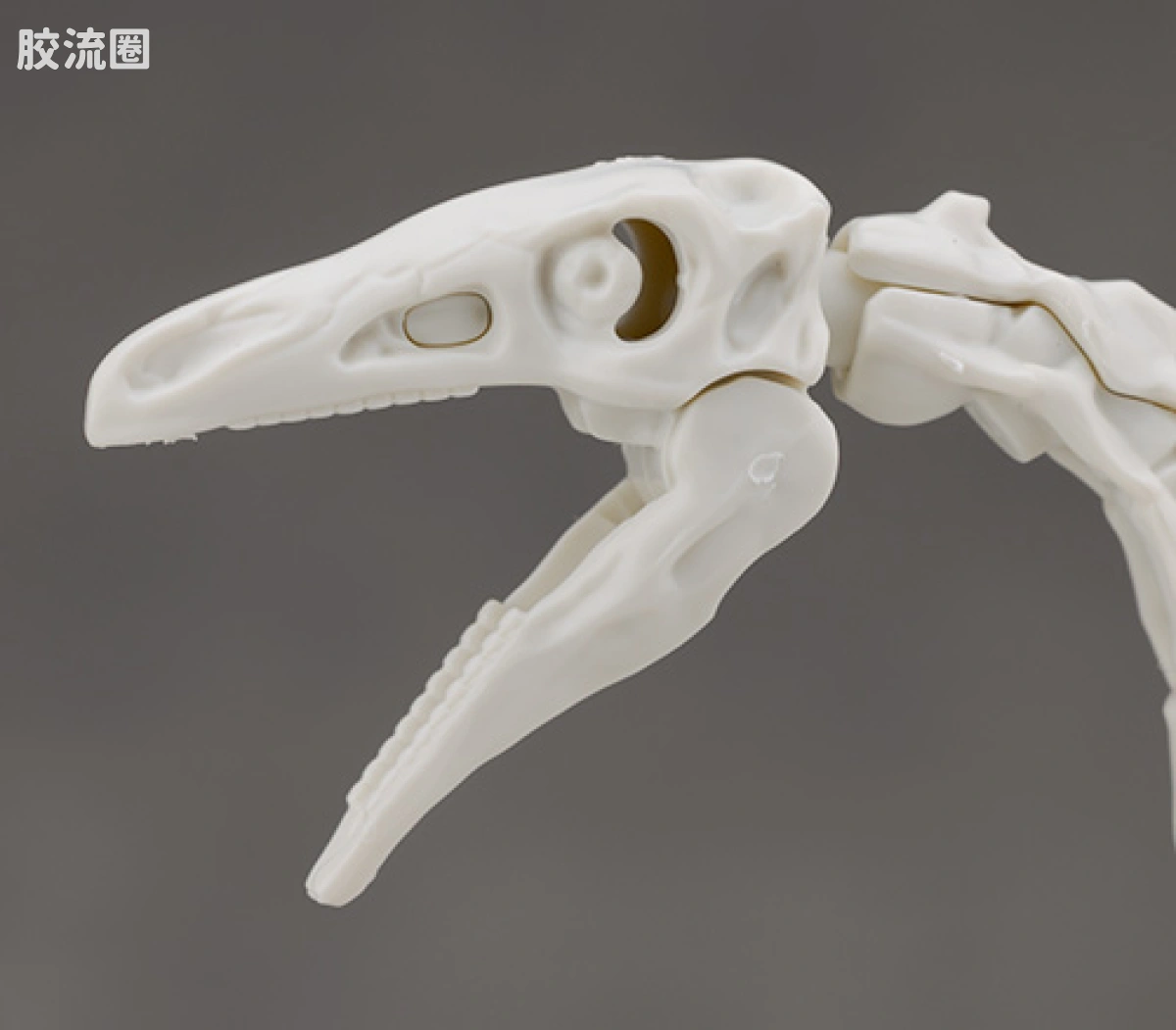 万代综合拼装模型系列 Plannosaurus 镰刀龙 - 图片