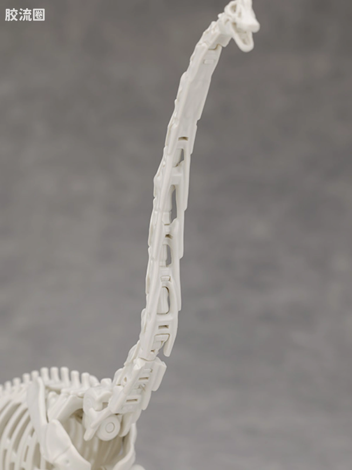 万代综合拼装模型系列 Plannosaurus 腕龙 - 图片