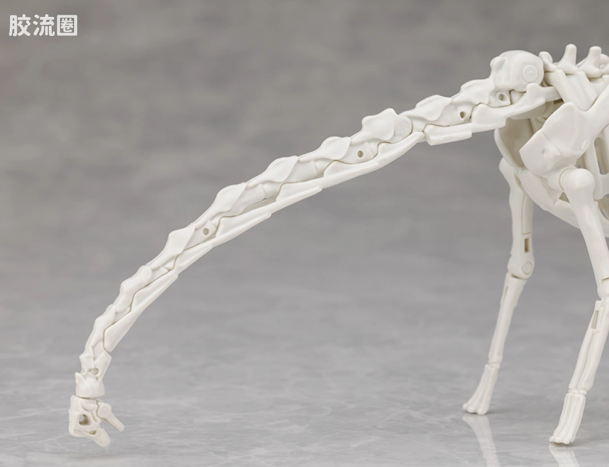 万代综合拼装模型系列 Plannosaurus 腕龙 - 图片