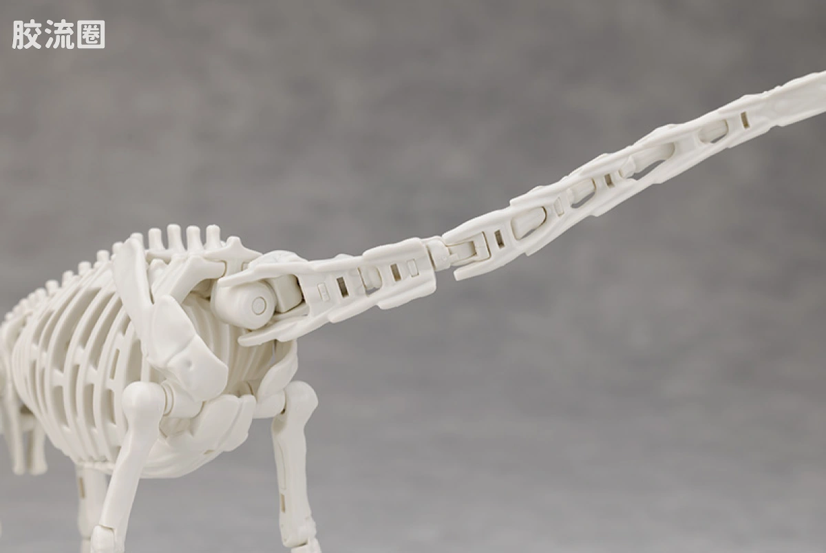 万代综合拼装模型系列 Plannosaurus 腕龙 - 图片