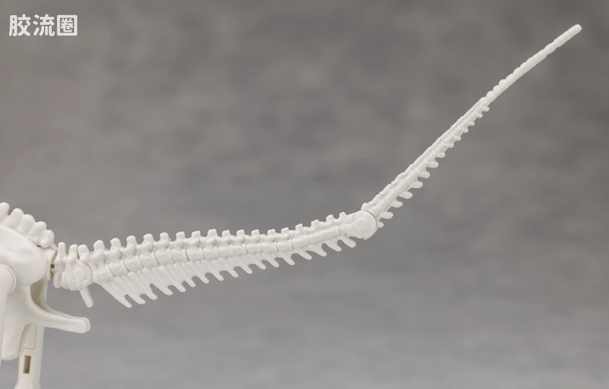 万代综合拼装模型系列 Plannosaurus 腕龙 - 图片