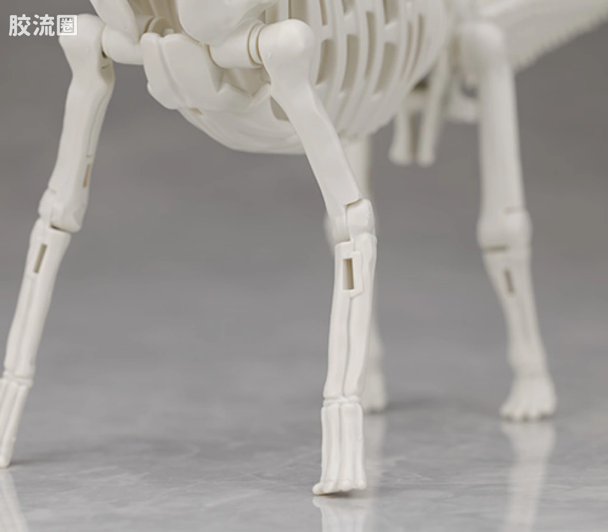 万代综合拼装模型系列 Plannosaurus 腕龙 - 图片