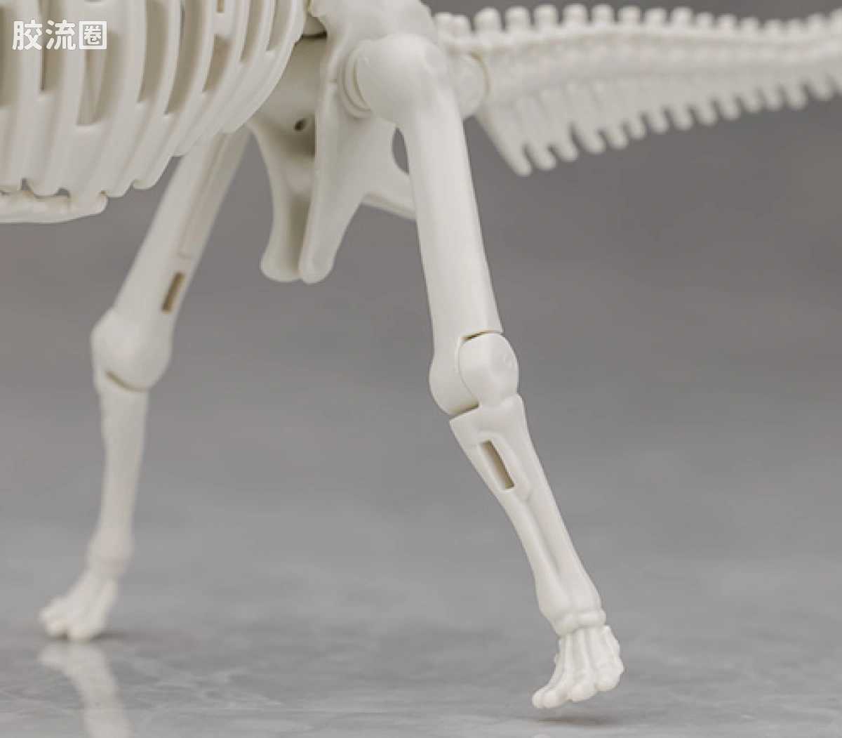 万代综合拼装模型系列 Plannosaurus 腕龙 - 图片