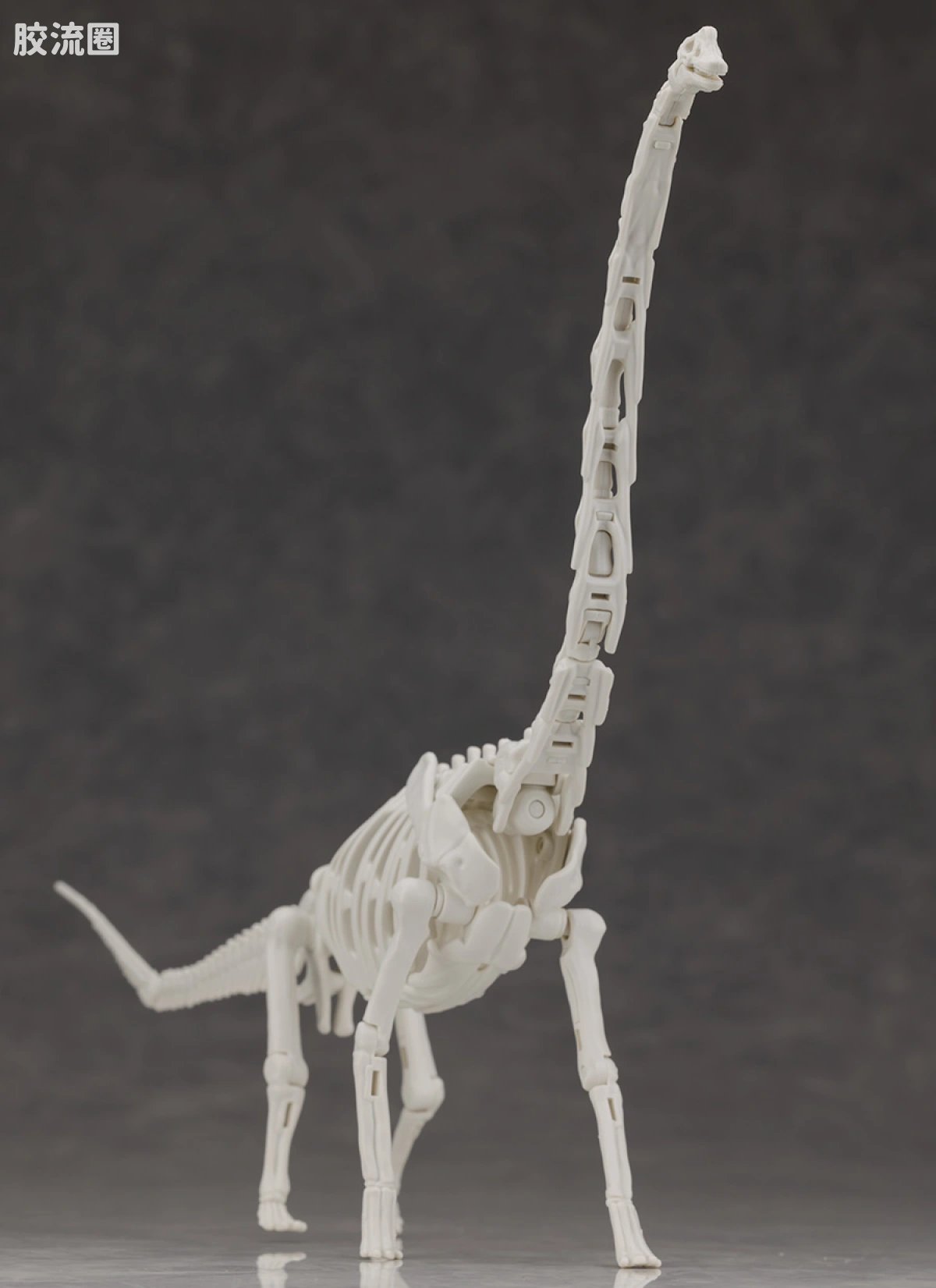 万代综合拼装模型系列 Plannosaurus 腕龙 - 图片
