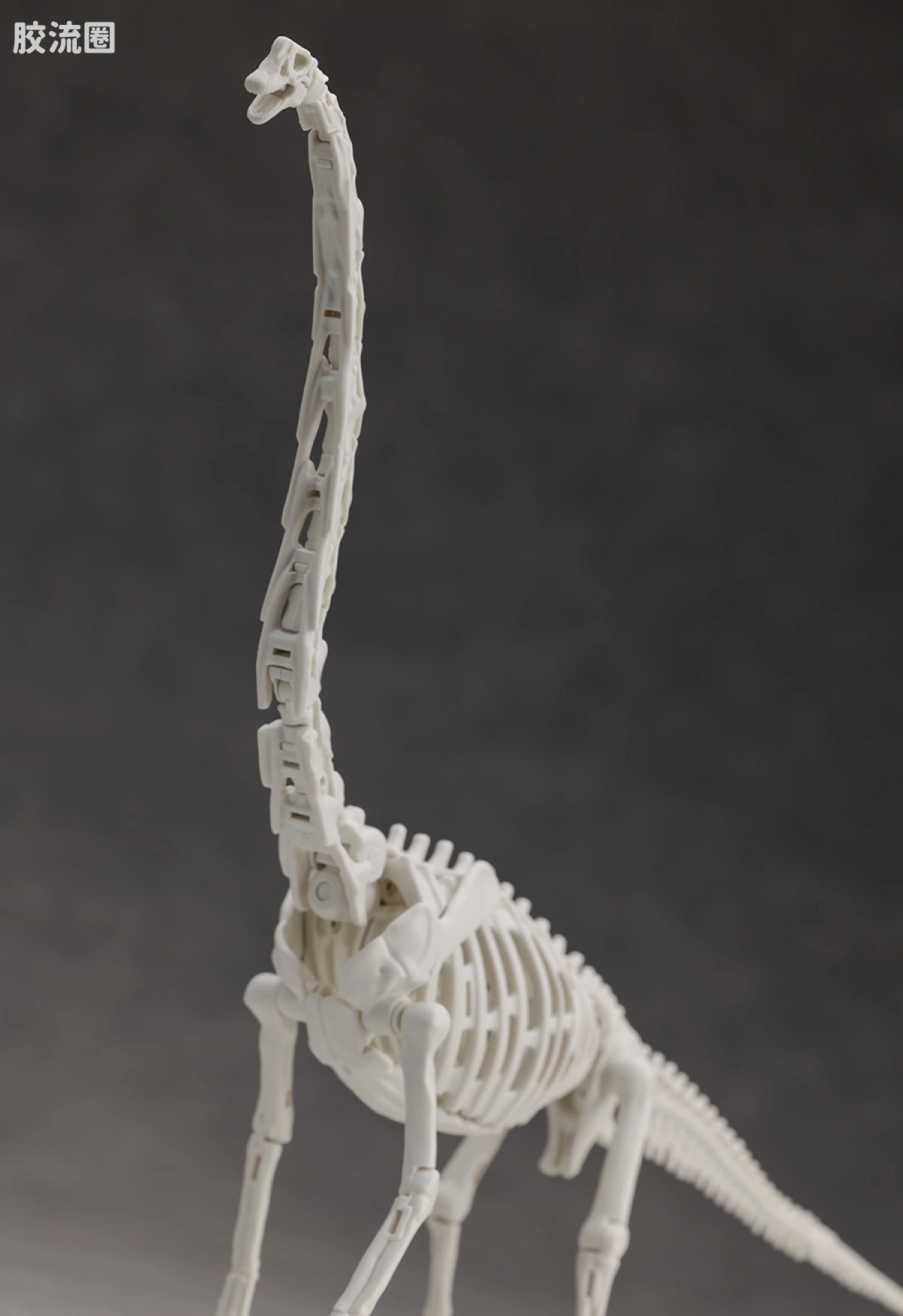 万代综合拼装模型系列 Plannosaurus 腕龙 - 图片