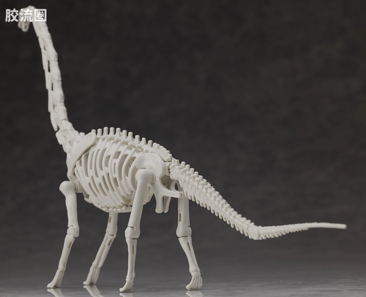 万代综合拼装模型系列 Plannosaurus 腕龙 - 图片