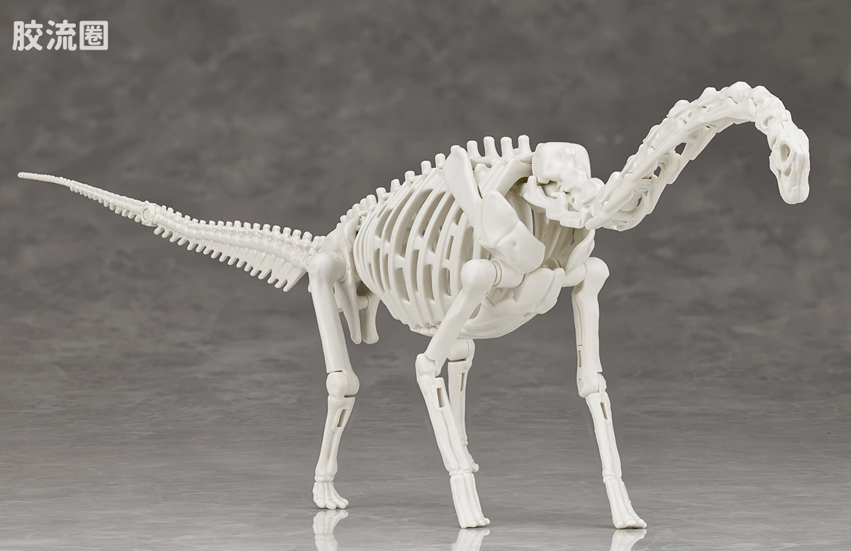 万代综合拼装模型系列 Plannosaurus 腕龙 - 图片