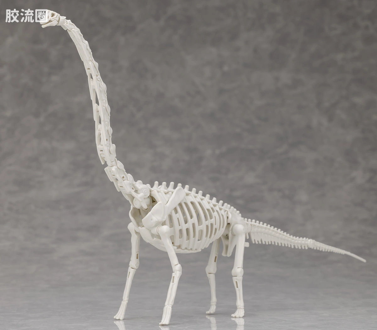 万代综合拼装模型系列 Plannosaurus 腕龙 - 图片