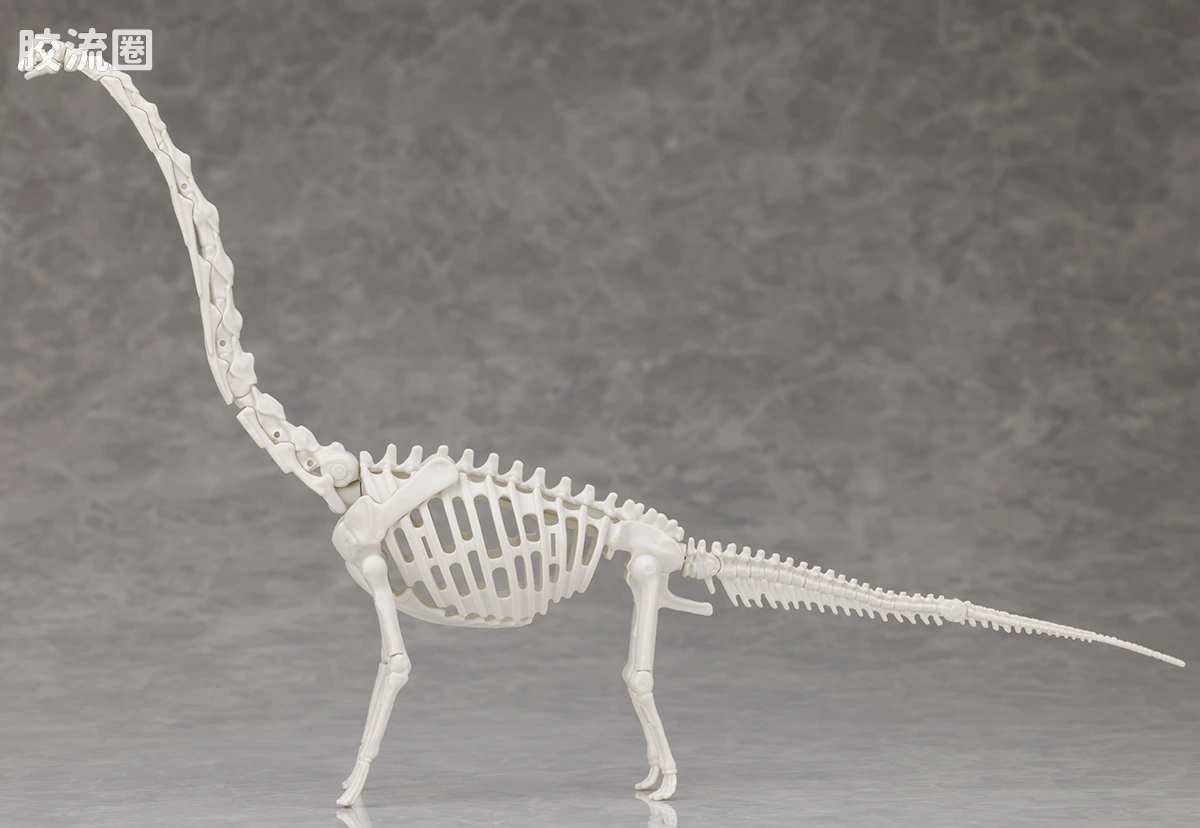万代综合拼装模型系列 Plannosaurus 腕龙 - 图片