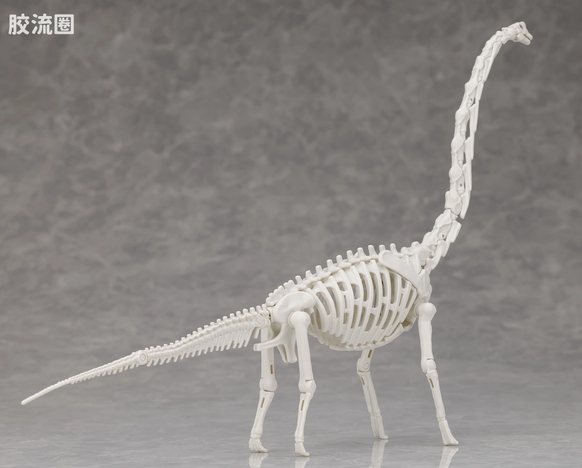 万代综合拼装模型系列 Plannosaurus 腕龙 - 图片