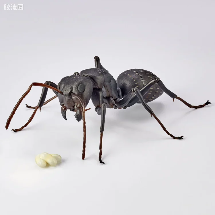 转轮科技 REVOLTECH GEO RG009 日本弓背蚁 - 图片