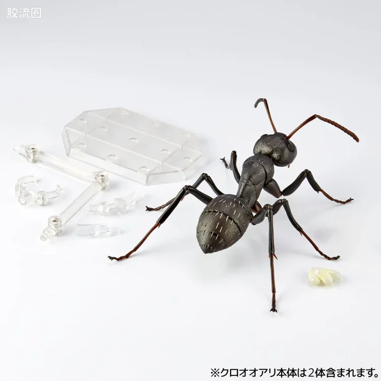 转轮科技 REVOLTECH GEO RG009 日本弓背蚁 - 图片