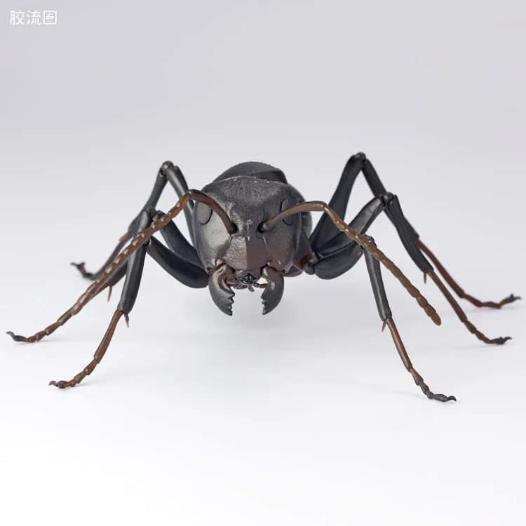 转轮科技 REVOLTECH GEO RG009 日本弓背蚁 - 图片