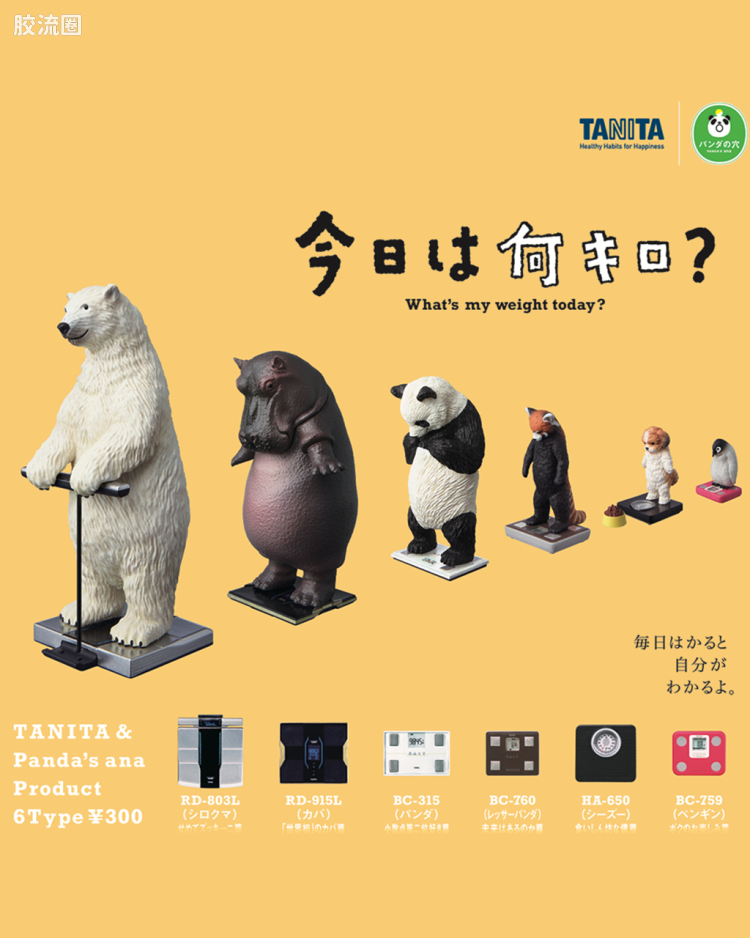 今天多重？