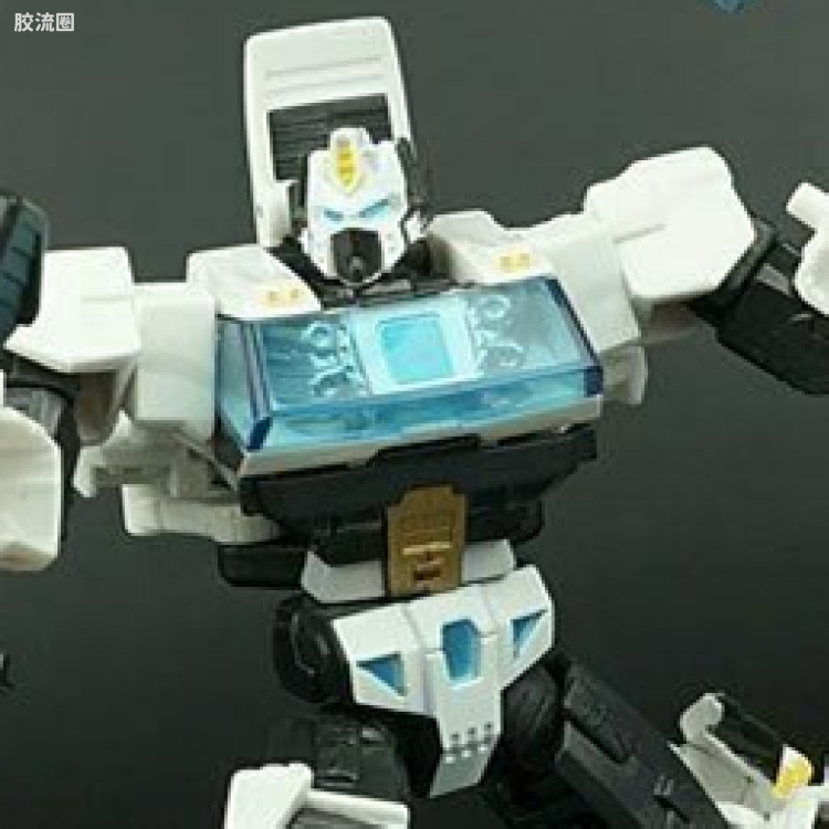 变形金刚 BOTCON & TCC 限定玩具 TCC2015 会员限定 耀天威