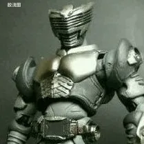 S.I.C. 限定版 假面骑士 龙骑&王蛇 空白体