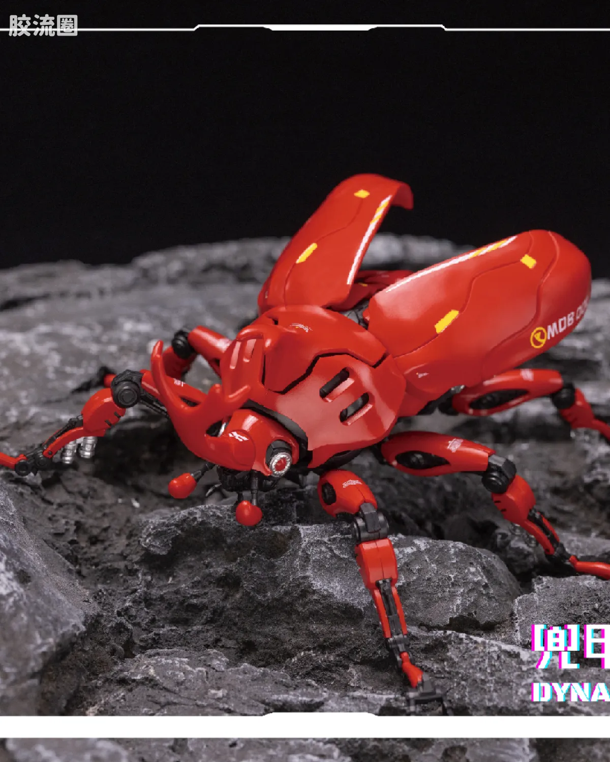 兜甲小分队