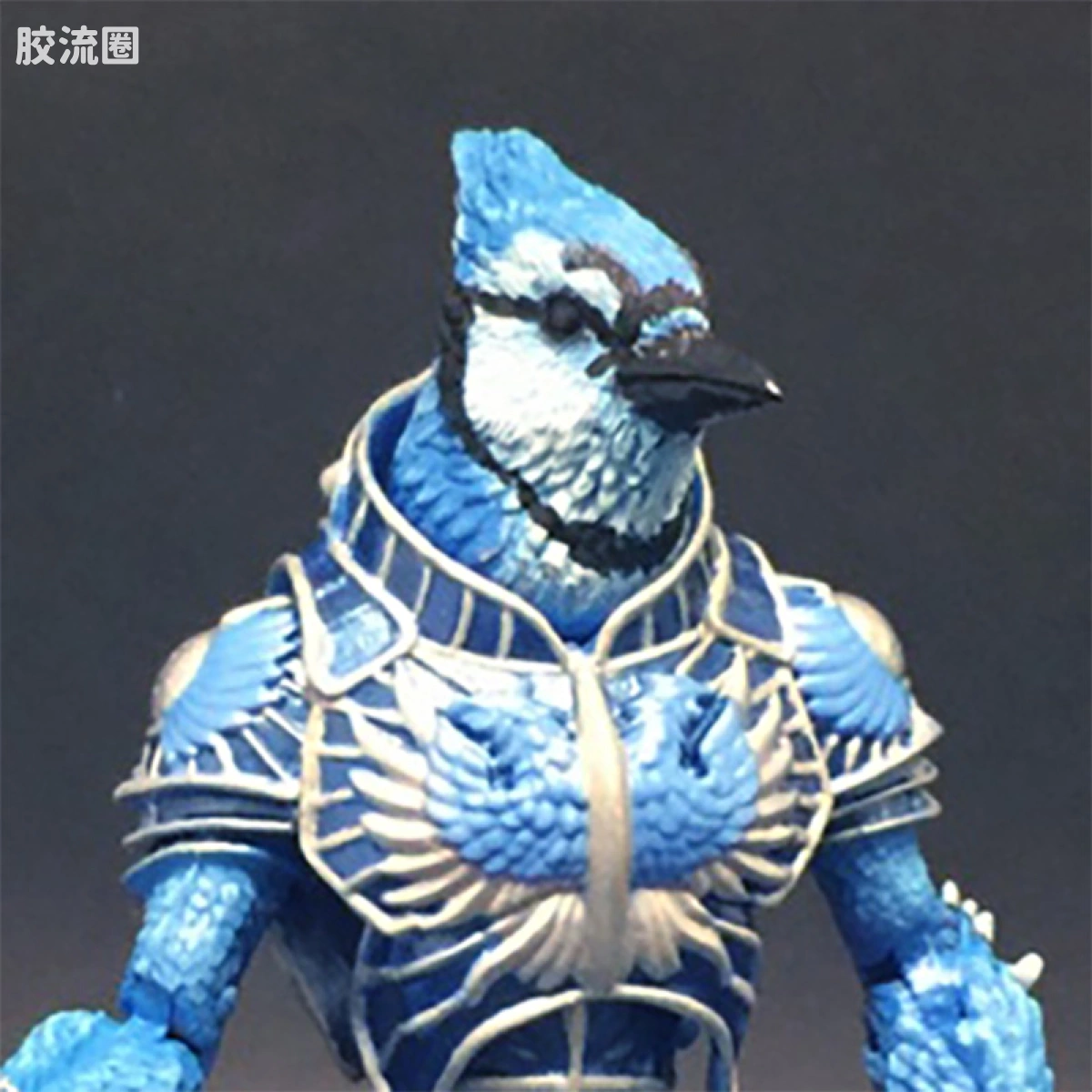 冠蓝鸦