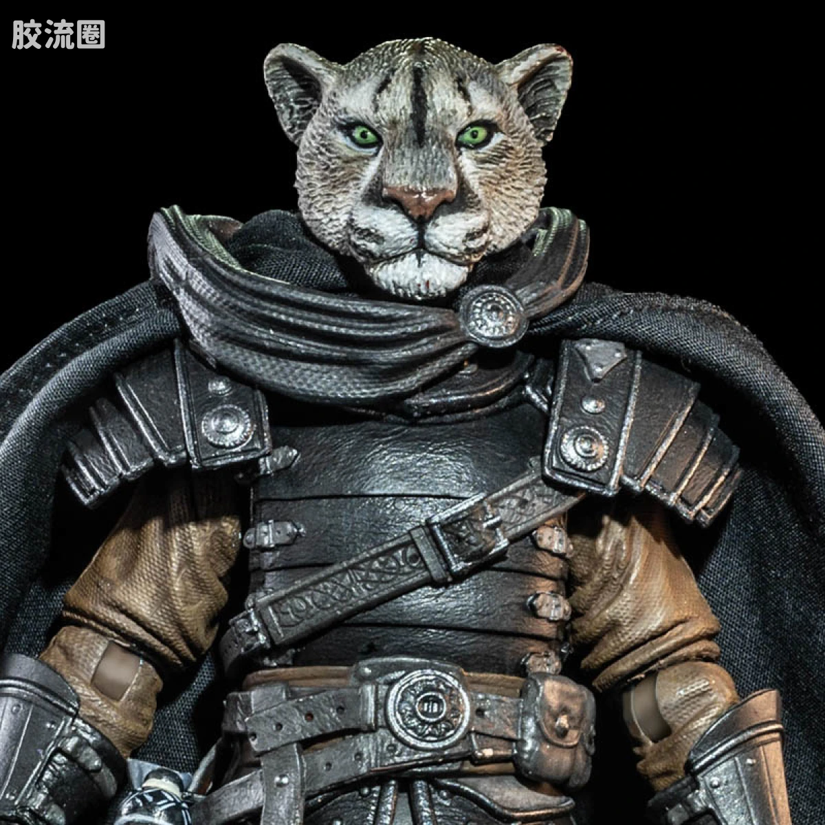 凯·帕查