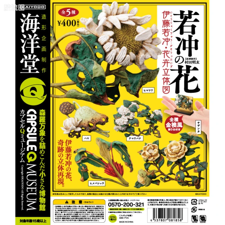 博物馆 伊藤若冲-花卉立体图