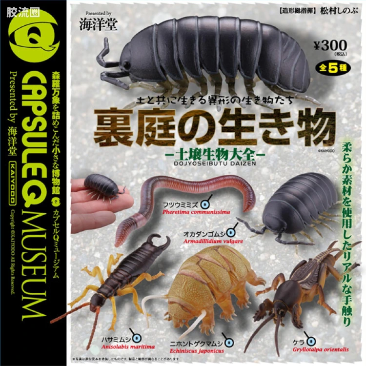 博物馆 后院的生物 -土壤生物大全-