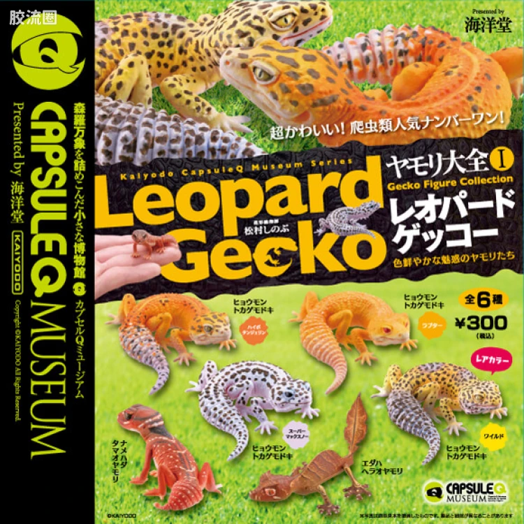 博物馆 壁虎收藏系列vol.1 -豹纹壁虎-