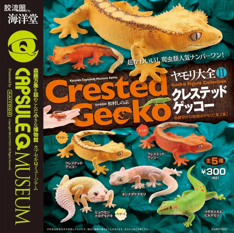 博物馆 壁虎收藏系列vol.2 -凤头守宫-