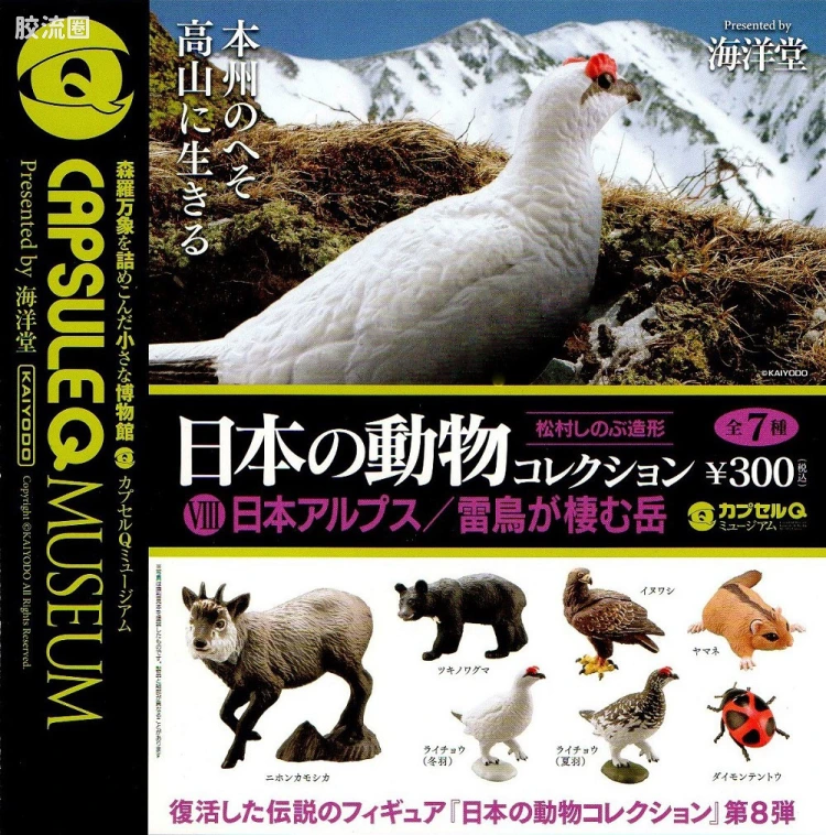 博物馆 日本动物收藏vol.8 日本阿尔卑斯山篇-雷鸟栖息的山