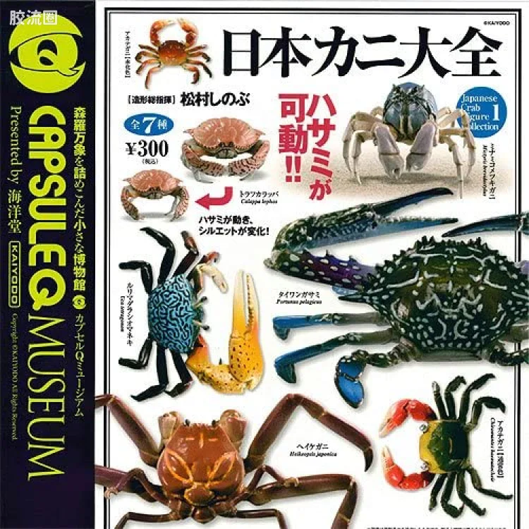 博物馆 日本蟹类图鉴