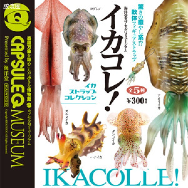 海洋堂扭蛋盒蛋系列 Capsule Q系列 博物馆 软体动物收藏系列vol.1