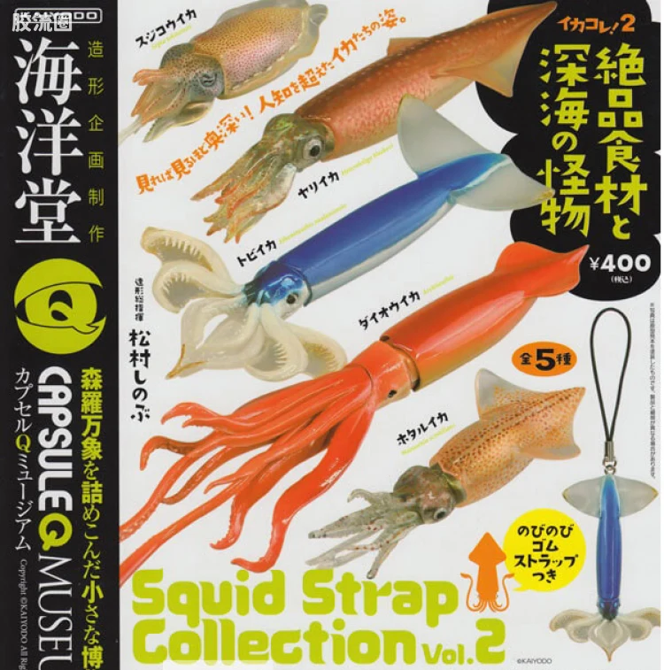 博物馆 软体动物收藏系列vol.2