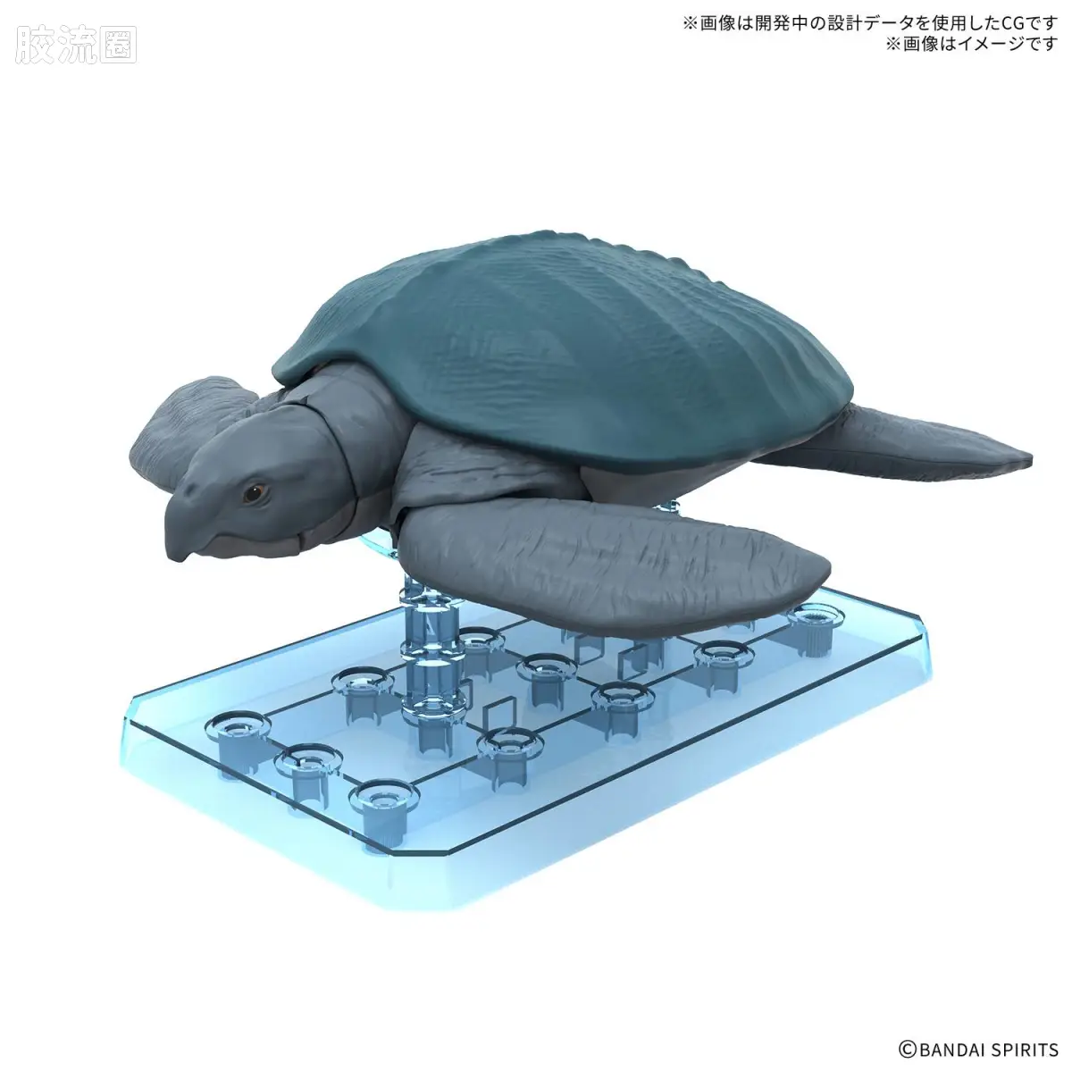 古巨龟