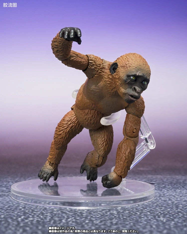 S.H.MonsterArts 限定及特别版 Suko&魔斯拉(2024) FROM <哥斯拉 x 金刚:帝国崛起> - 图片