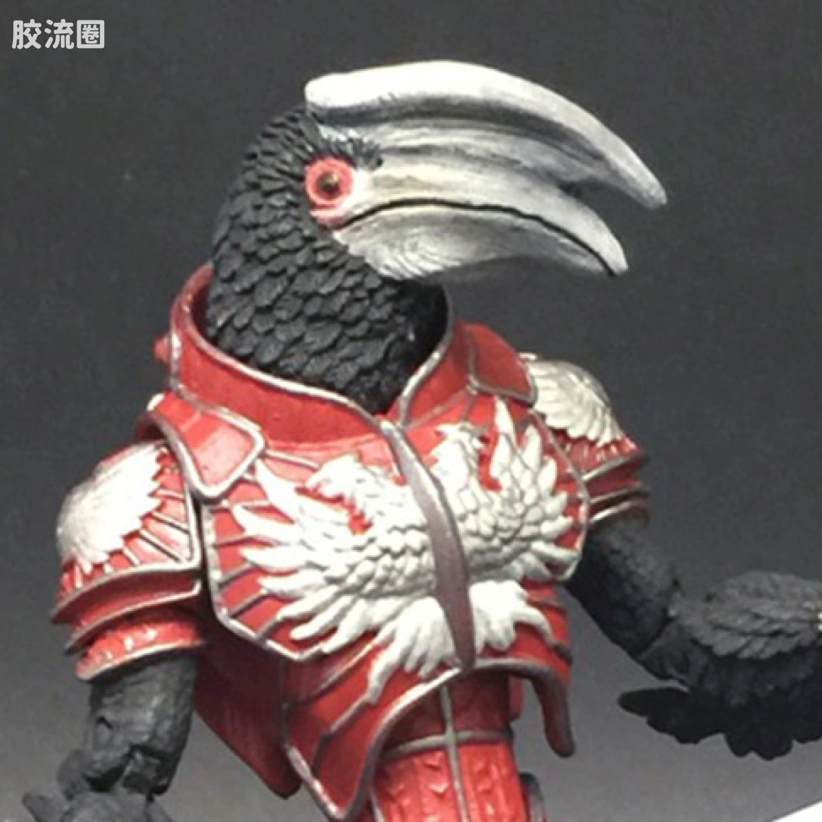 噪犀鸟