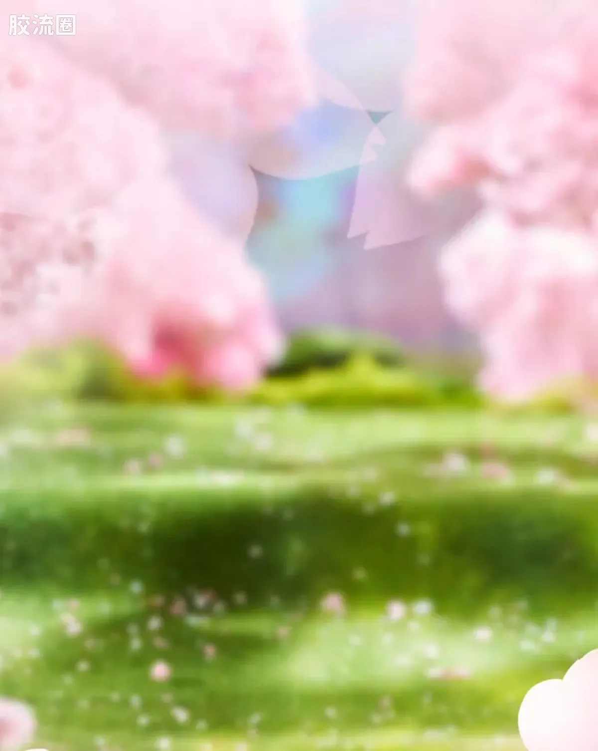 初音未来 奇迹 奇迹版EX 樱花未来 - 图片