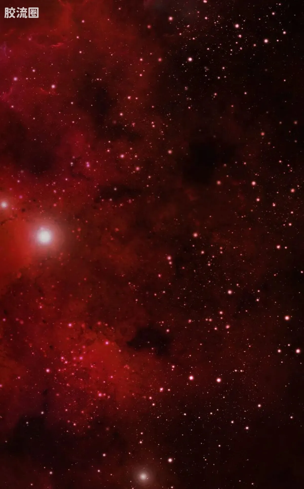 布鲁可奥特曼 端盒 宿命之绊（群星版S-第4弹） - 图片