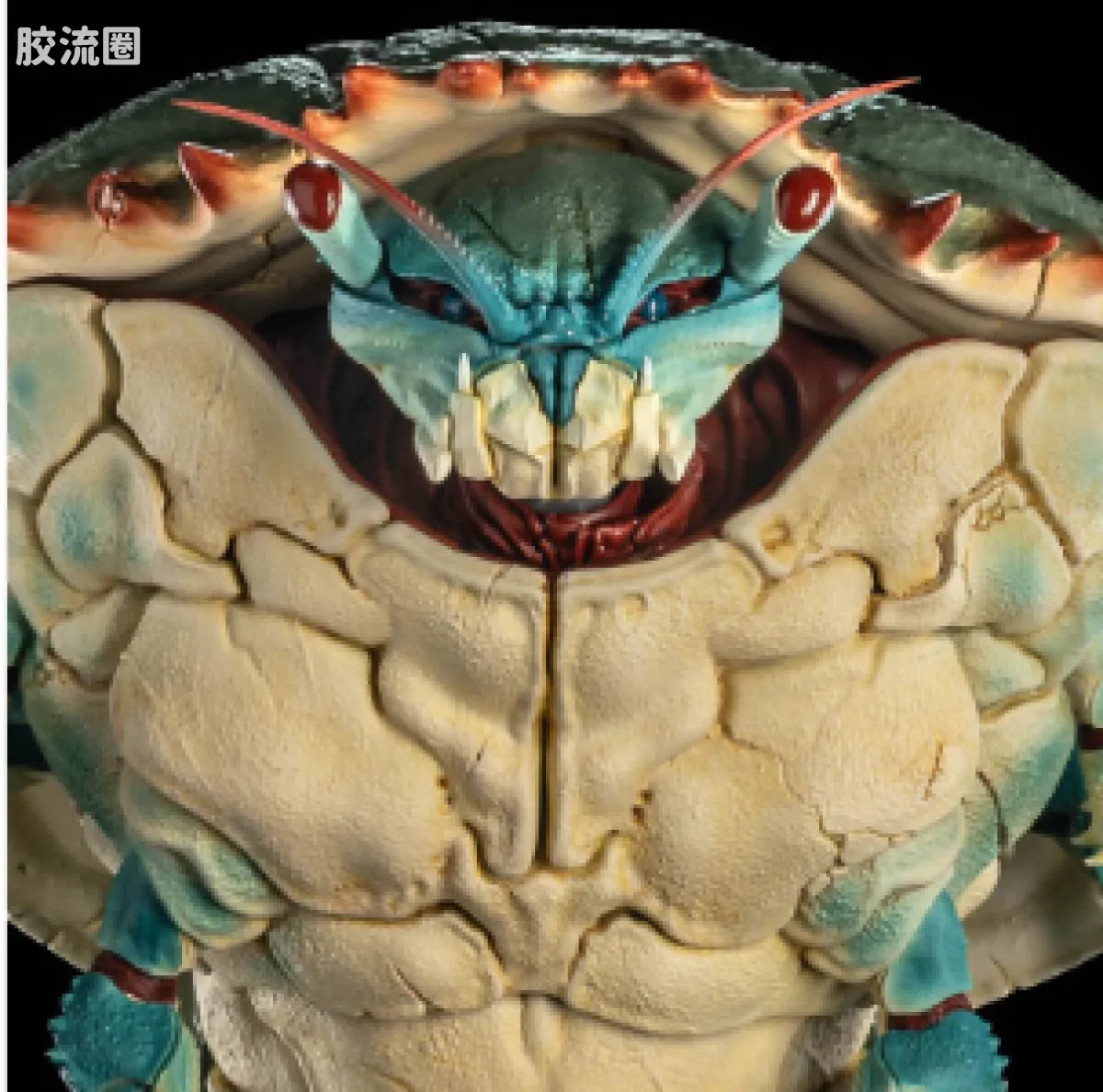 神话军团 探索的黎明 布尔瓦克（巨魔螃蟹）