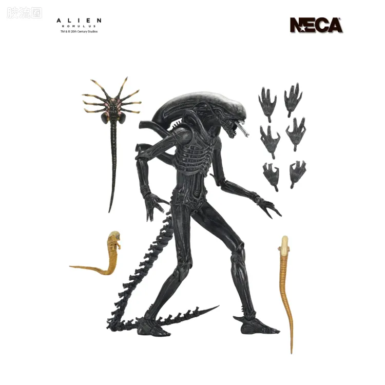 NECA 7寸可动人形系列 异形：夺命舰 电影系列 异形 XX121