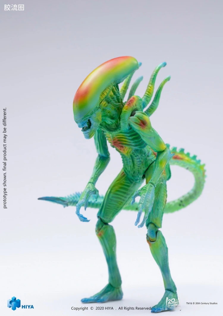 Hiya Toys/海雅 异形大战铁血战士 异形(热成像)