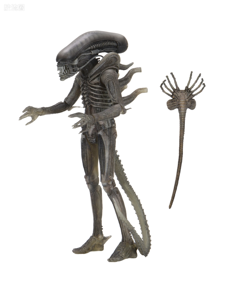 NECA 7寸可动人形系列 异形40周年电影版 异形 第4代