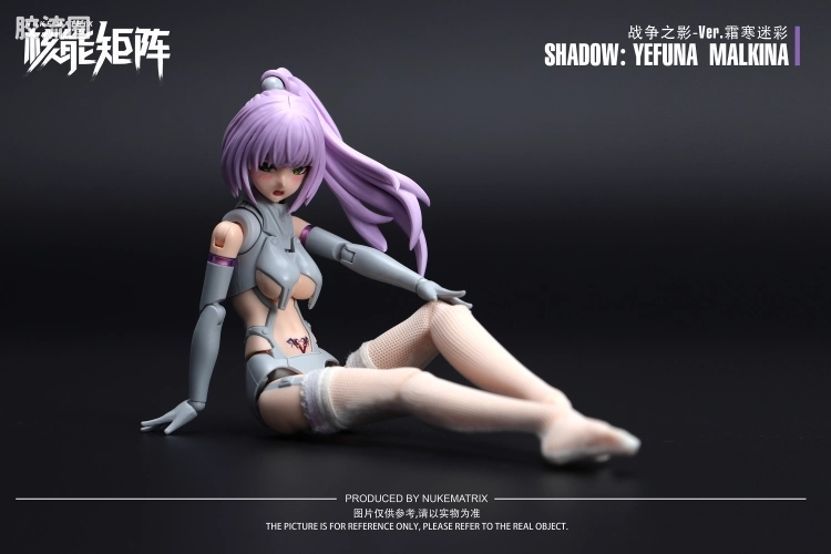 核能矩阵 机娘拼装模型 限定与特别版 战争之影-Ver.霜寒迷彩 - 图片