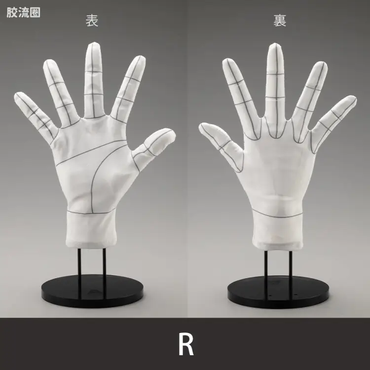 手部模型专用参考手套/R -Wireframe-、L -Wireframe-